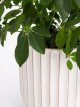 Country Ribbed Earthenware Indoor Planter, 23cm, White