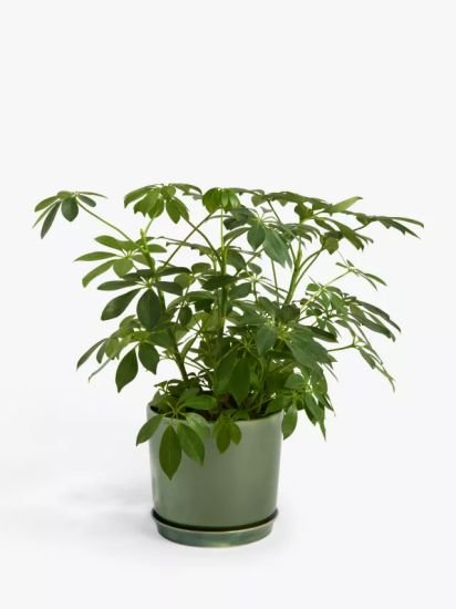 Contemporary Glazed Stoneware Planter, 19.5cm
