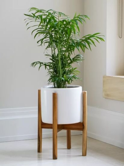 Indoor Ceramic Planter & Wood Stand, 24cm