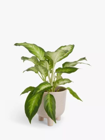 Medium Ceramic Indoor Footed Planter, 15cm, Brown